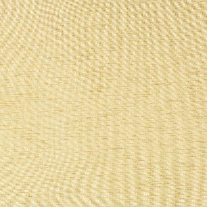 Prestige Gold by Kravet Contract Fabric POLYESTER - 100% Turkey Horizontal: 0 and Vertical: 0 118 - Fabric Carolina -