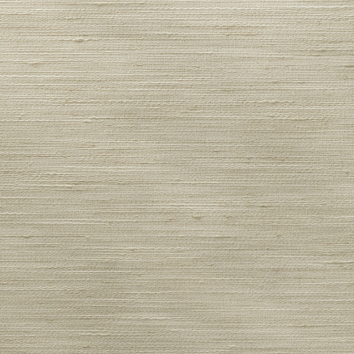 4852-1110 by Kravet Basics Fabric POLYESTER - 100% India Horizontal: 0 and Vertical: 0 54 - Fabric Carolina -