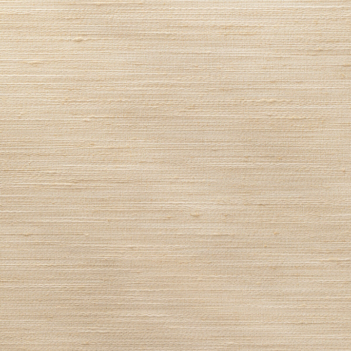 4852-1116 by Kravet Basics Fabric POLYESTER - 100% India Horizontal: 0 and Vertical: 0 54 - Fabric Carolina -