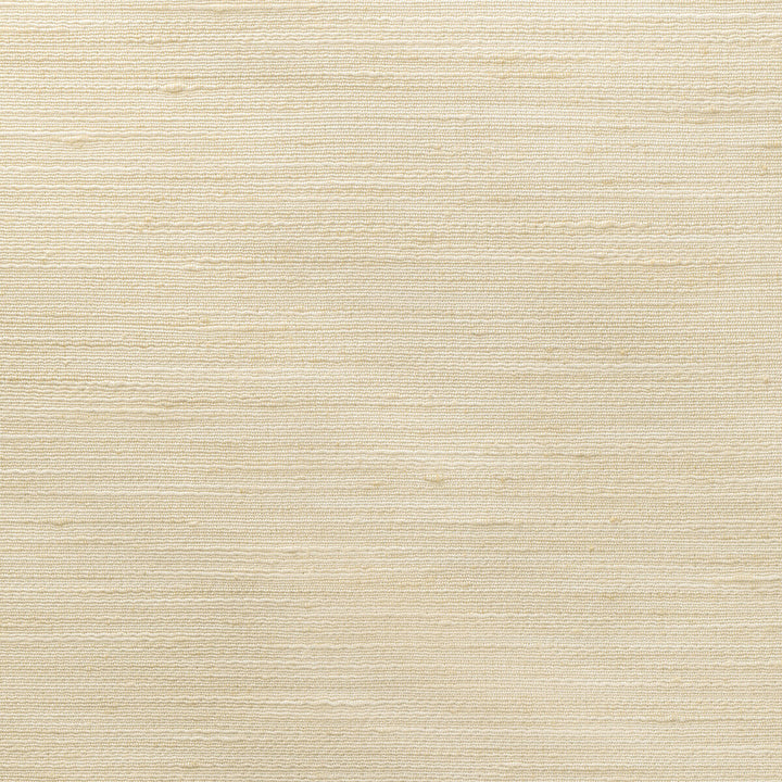 4852-111 by Kravet Basics Fabric POLYESTER - 100% India Horizontal: 0 and Vertical: 0 54 - Fabric Carolina -