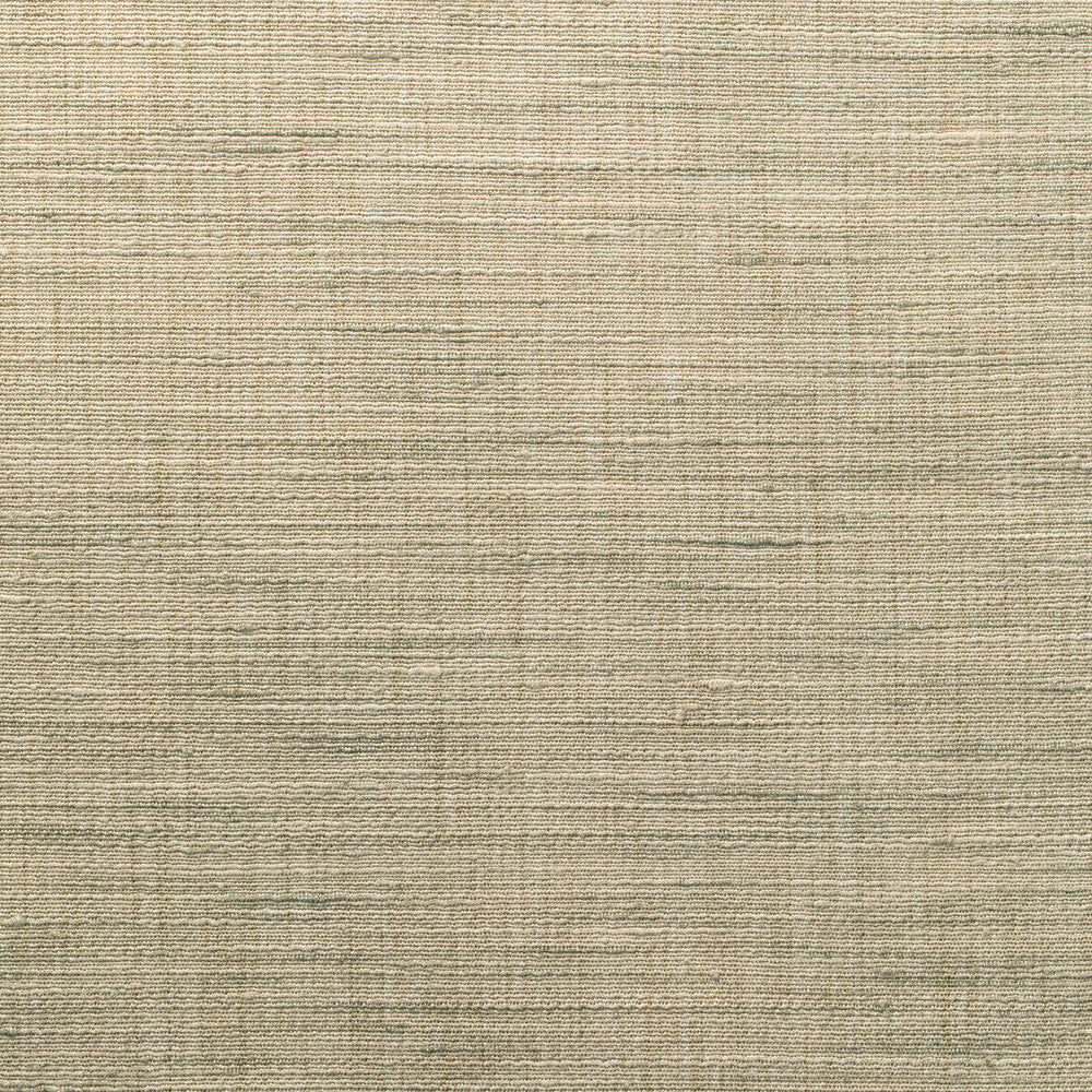 4852-116 by Kravet Basics Fabric POLYESTER - 100% India Horizontal: 0 and Vertical: 0 54 - Fabric Carolina -