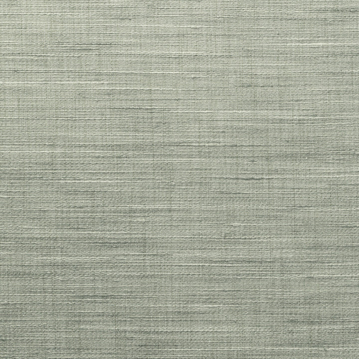 4852-135 by Kravet Basics Fabric POLYESTER - 100% India Horizontal: 0 and Vertical: 0 54 - Fabric Carolina -