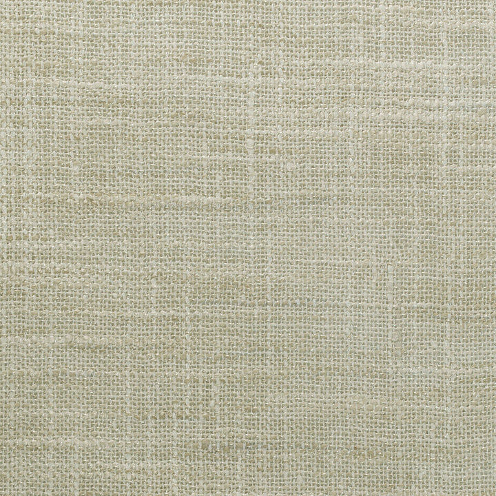 4853-1113 by Kravet Basics Fabric POLYESTER - 100% India Horizontal: 0 and Vertical: 0 54 - Fabric Carolina -