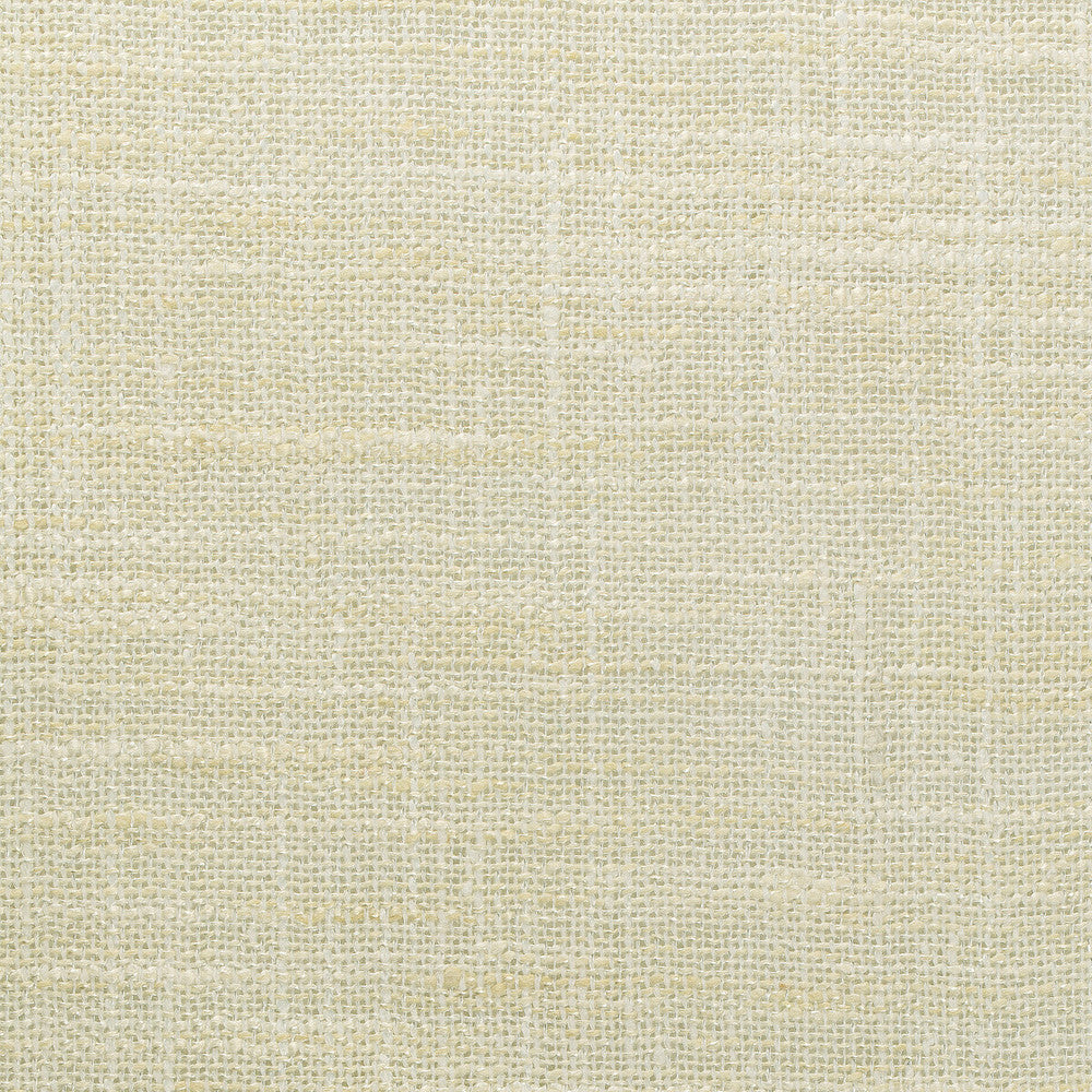 4853-1116 by Kravet Basics Fabric POLYESTER - 100% India Horizontal: 0 and Vertical: 0 54 - Fabric Carolina -