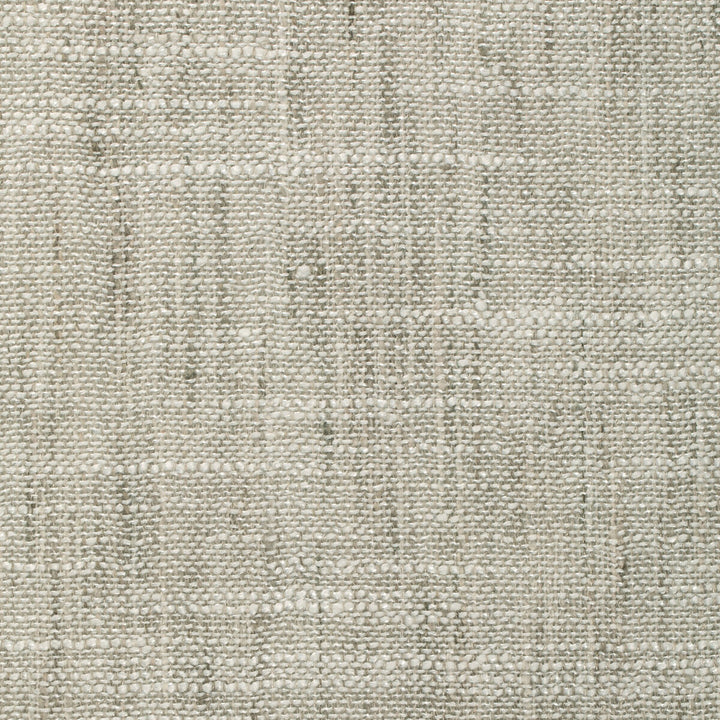 4853-1121 by Kravet Basics Fabric POLYESTER - 100% India Horizontal: 0 and Vertical: 0 54 - Fabric Carolina -