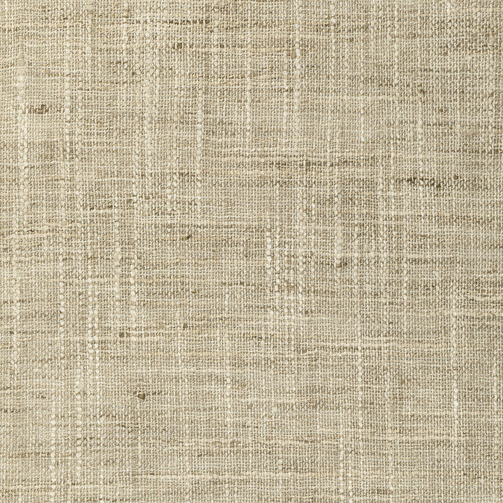 4853-116 by Kravet Basics Fabric POLYESTER - 100% India Horizontal: 0 and Vertical: 0 54 - Fabric Carolina -