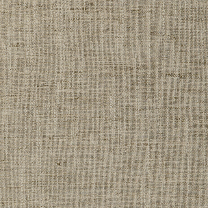 4853-121 by Kravet Basics Fabric POLYESTER - 100% India Horizontal: 0 and Vertical: 0 54 - Fabric Carolina -