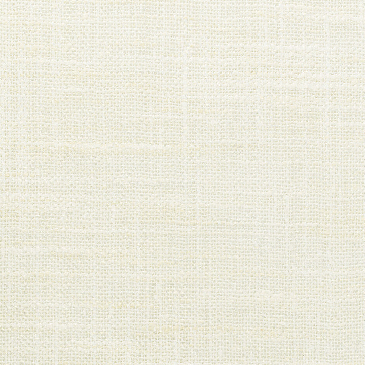 4853-1 by Kravet Basics Fabric POLYESTER - 100% India Horizontal: 0 and Vertical: 0 54 - Fabric Carolina -