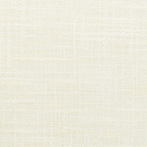 Kravet Basics 4853-1 by Kravet Basics Fabric