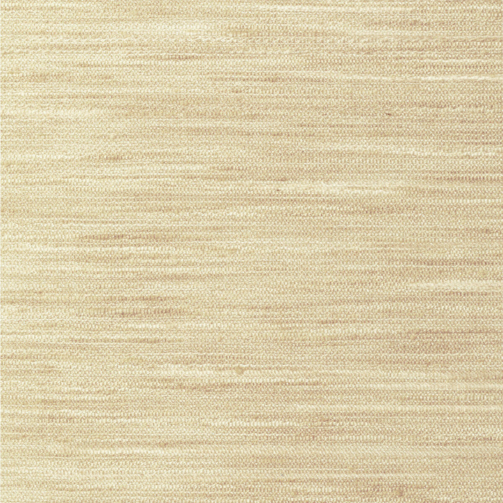 Kravet Basics 4854-1116 by Kravet Basics Fabric Kravet Basics Fabric Kravet Basics 4854-1116Fabric POLYESTER - 100% India </p><p>Repeat: H: 0, V: 0 54 - Fabric Carolina -
