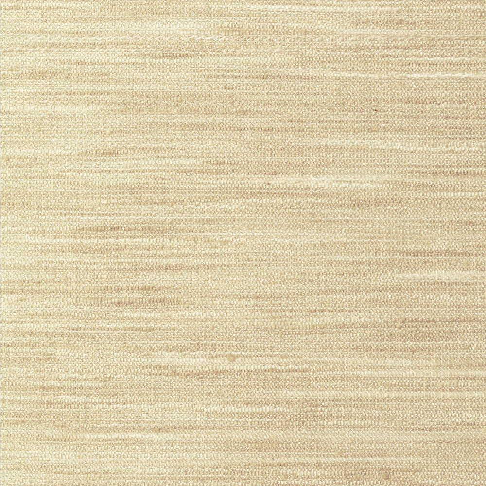 4854-1116 by Kravet Basics Fabric POLYESTER - 100% India Horizontal: 0 and Vertical: 0 54 - Fabric Carolina -