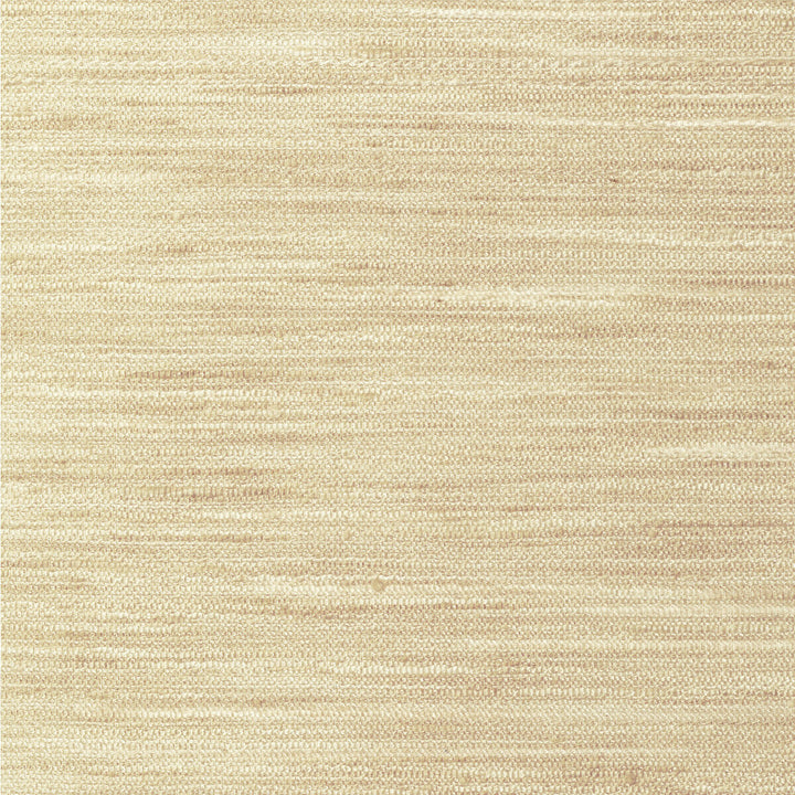 4854-1116 by Kravet Basics Fabric POLYESTER - 100% India Horizontal: 0 and Vertical: 0 54 - Fabric Carolina -