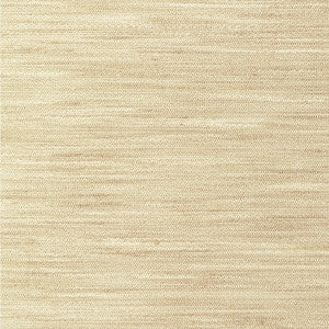 Kravet Basics 4854-1116 by Kravet Basics Fabric