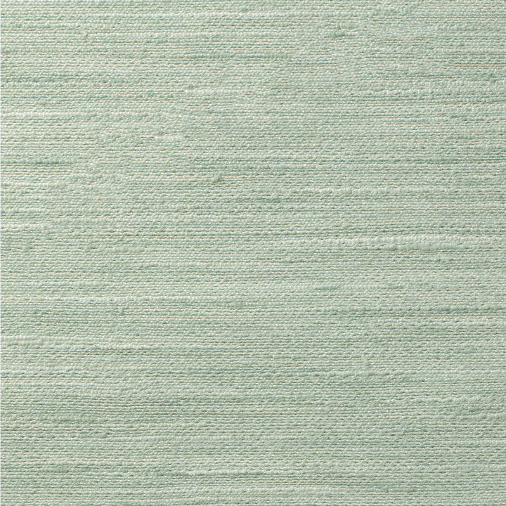 4854-13 by Kravet Basics Fabric POLYESTER - 100% India Horizontal: 0 and Vertical: 0 54 - Fabric Carolina -