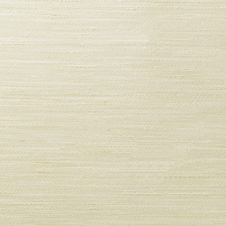 4854-1 by Kravet Basics Fabric POLYESTER - 100% India Horizontal: 0 and Vertical: 0 54 - Fabric Carolina -