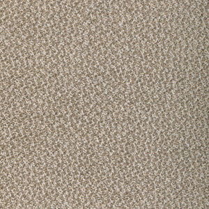 Pebbly Barley by Kravet Fabric