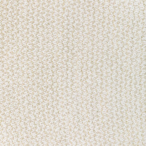 Pebbly Chalk by Kravet Fabric