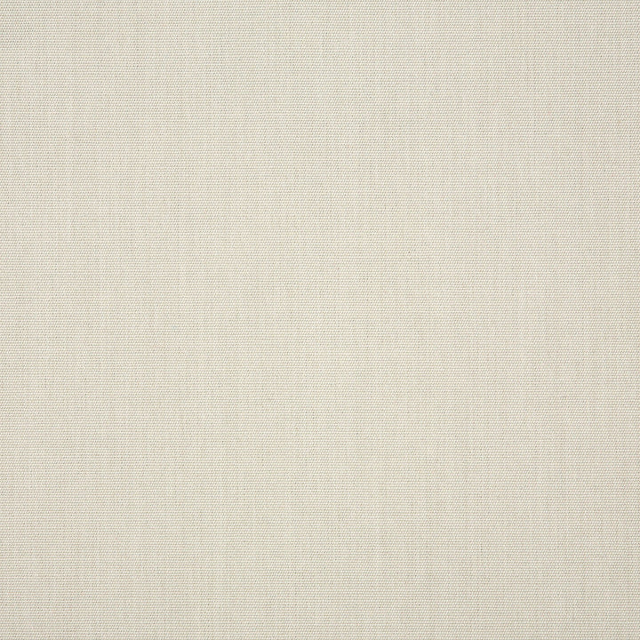 57012 Canvas Cloud by Sunbrella Fabric Sunbrella® Acrylic, Sunbrella® Polyester, Sunbrella® Non-Phthalate PVC USA or Imported 5-Year Horizontal: and Vertical: 54 in. - Fabric Carolina -