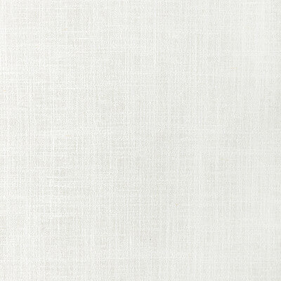 4932.1.0 by Kravet Fabric Kravet Fabric 4932.1.0Fabric POLYESTER - 66%;COTTON - 21%;LINEN - 13% India </p><p>Repeat: H: 0, V: 0 54 - Fabric Carolina -