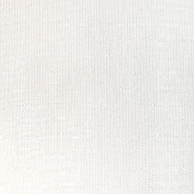4934.1.0 by Kravet Fabric Kravet Fabric 4934.1.0Fabric POLYESTER - 66%;LINEN - 17%;VISCOSE - 17% India </p><p>Repeat: H: 0, V: 0 57 - Fabric Carolina -