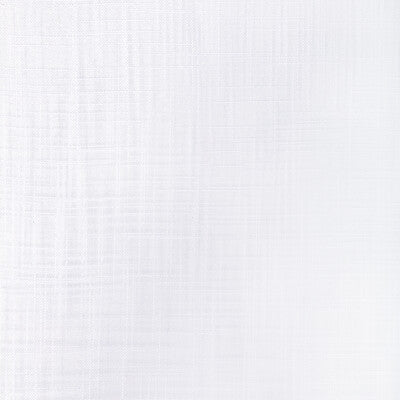 4938.101.0 by Kravet Fabric Kravet Fabric 4938.101.0Fabric POLYESTER - 100% India </p><p>Repeat: H: 0, V: 0 55 - Fabric Carolina -