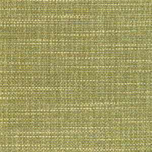 Luma Texture Cactus by Kravet Fabric