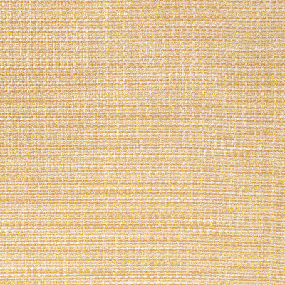 4947.416.0 by Kravet Fabric Kravet Fabric 4947.416.0Fabric FR WINDOW LUMA TEXTURE POLYESTER FR - 100% India </p><p>Repeat: H: 0, V: 0 54 - Fabric Carolina -