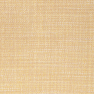 Luma Texture Straw by Kravet Fabric