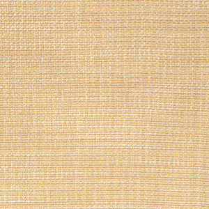 Luma Texture Straw by Kravet Fabric