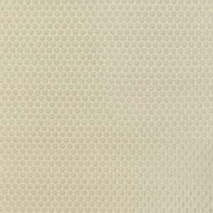 Perfect Catch Gold by Kravet Fabric