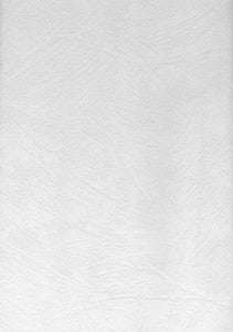 Crows Paintable Paintable Wallpaper by Brewster