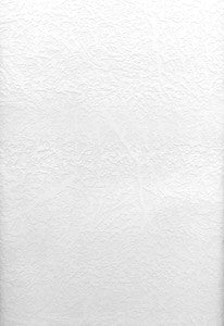 Brassica Paintable Texture Paintable Wallpaper by Brewster