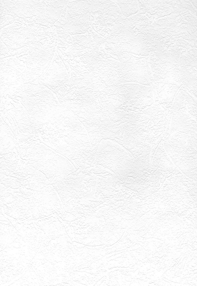 Sante Paintable Plaster Paintable Wallpaper by Brewster Paintable Solutions IV Covers about 56.4 square feet 20.5-in by 33-ft long roll Prepasted 21 - Fabric Carolina -