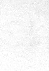 Sante Paintable Plaster Paintable Wallpaper by Brewster