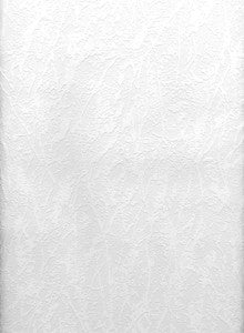 Splatter Paintable Paintable Wallpaper by Brewster