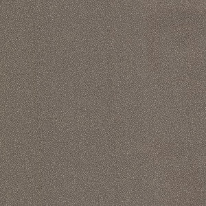 Spore Espresso Bubble Texture Wallpaper by Brewster