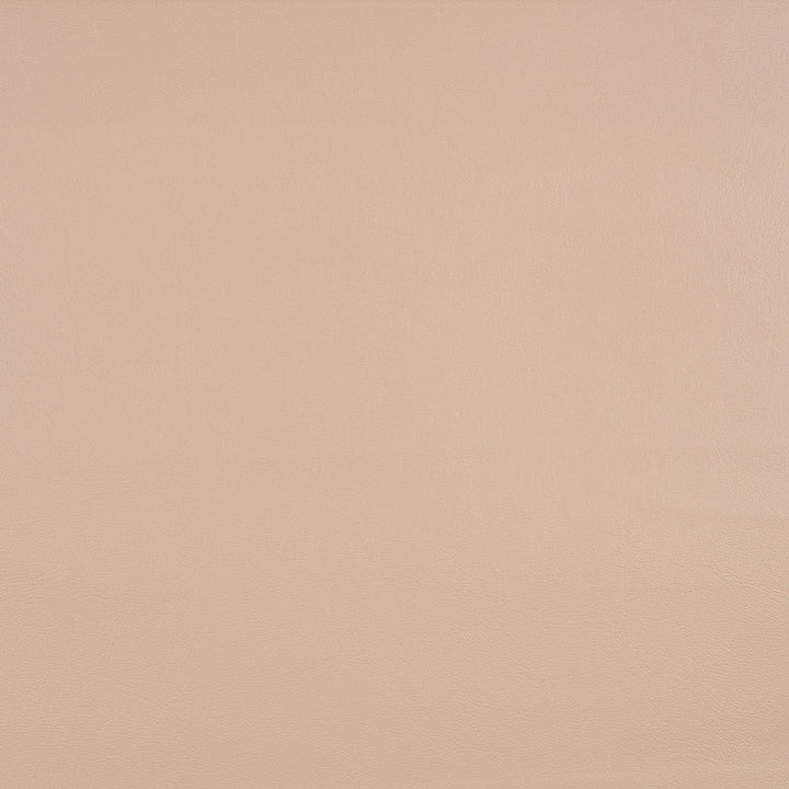 10200-0008 Capriccio Heather Beige by Sunbrella Fabric Sunbrella Horizon Capriccio Marine Upholstery Sunbrella® Engineered Leather USA or Imported 5-Year, 3-Year Microbial Pink Staining Horizontal: and Vertical: 54 in. - Fabric Carolina -