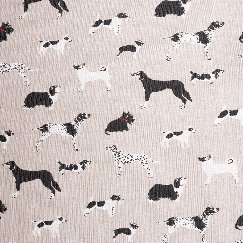 145414-0001 Fetch Bone by Sunbrella Fabric Sunbrella Fusion Sunbrella® Acrylic, Sunbrella® Polyester USA or Imported 5-Year Horizontal: 26.5 in. and Vertical: 18.7 in. 54 in. - Fabric Carolina -