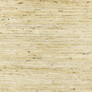 Sonota Arrowroot Oatmeal 5002710 by Schumacher Wallcovering