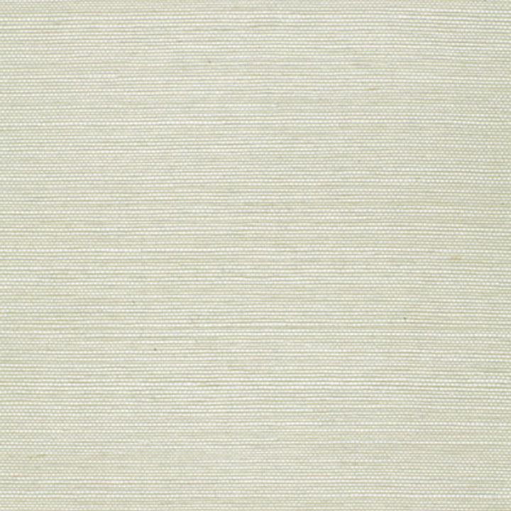 Ayame Sisal Aquamarine 5002900 by Schumacher Wallcovering