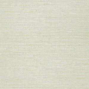 Ayame Sisal Aquamarine 5002900 by Schumacher Wallcovering