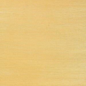 Ayame Sisal Hay 5002904 by Schumacher Wallcovering