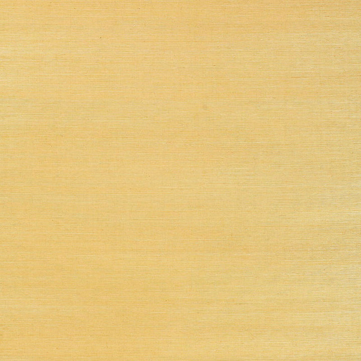 Ayame Sisal Hay 5002904 by Schumacher Wallcovering