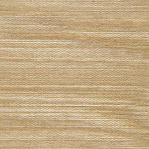 Ayame Sisal Sage 5002905 by Schumacher Wallcovering