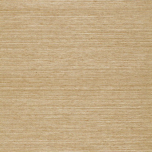 Ayame Sisal Sage 5002905 by Schumacher Wallcovering