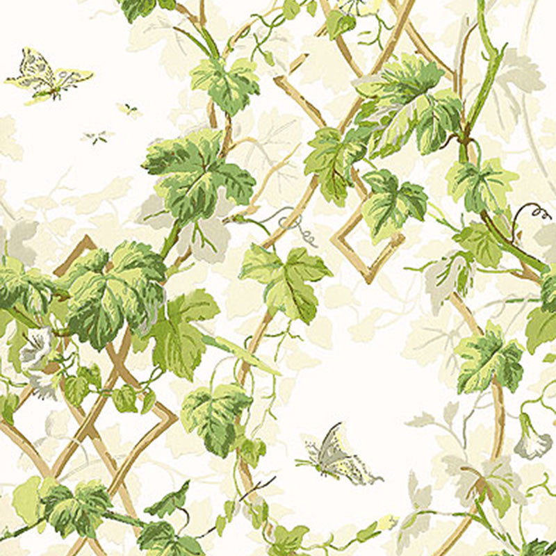 Leafy Arbor Leaf 5004493 by Schumacher Wallcovering Schumacher Wallcovering Leafy Arbor Leaf 5004493Wallcovering Paper UNITED STATES OF AMERICA </p><p>Repeat: H: HORZ. 20 1/2" (52CM) , V: VERT. 25 1/4" (64CM) 20.5 - Fabric Carolina -