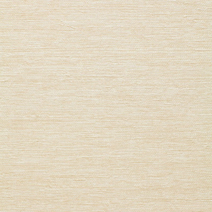 Sisal Texture Conch 5004810 by Schumacher Wallcovering Schumacher Wallcovering Sisal Texture Conch 5004810Wallcovering Paper JAPAN </p><p>Repeat: H: 0, V: 0 36 - Fabric Carolina -