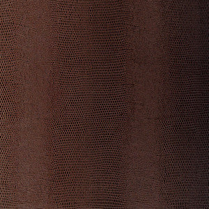 Lizard Java 5005840 by Schumacher Wallcovering