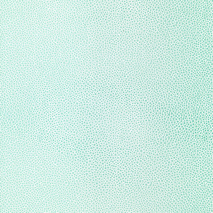 Shagreen Caribbean 5005851 by Schumacher Wallpaper FABULOUS FAUX Paper 0 UNITED STATES OF AMERICA </p><p>Repeat: Horizontal: and Vertical: 27 - Fabric Carolina -
