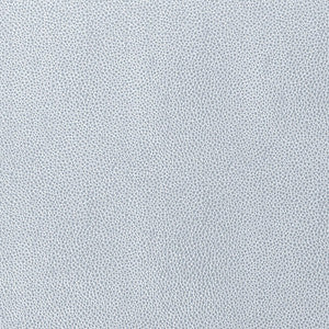 Shagreen Cloud 5005855 by Schumacher Wallcovering